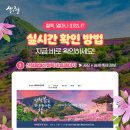 홍익펜션 | 제42회 산청황매산철쭉제 | 일정·철쭉 만개 시기·교통·맛집·숙소까지 봄이 피어나는 찰나