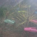 여송농장 이미지