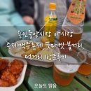 용인 중앙시장 별빛마당 야시장 행사 일정, 주차장, 야시장 방문 후기 (ft. 먹거리, 볼거리)