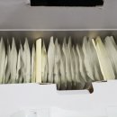 해풍양만영어조합법인 이미지