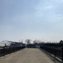 일산 자유로 저렴한 자동차 복원 견적 위치 후기(문짝, 스크래치 도색)