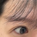 찐래쉬