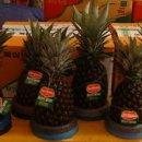 원미숙녀복 이미지