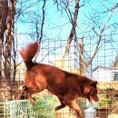 금옥이네 이미지