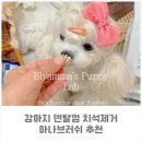 유별난 가위 이미지