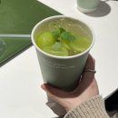 씨드그린(seed green) 이미지