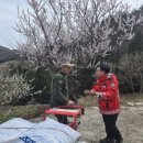 청명 이미지