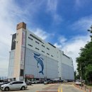 부산진구여성가족문화센터 5층 | 2025년 울산장생포 고래문화마을 특구장생포 문화창고 활동을 마치고~^^