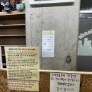 미어캣 | 파주 아이와 가볼만한곳 미어캣 프랜즈 방문후기