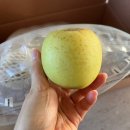 정인농원 이미지