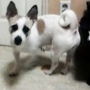 태순 Daum카페