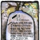 시화