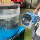 송도 24시 오케이동물병원 이미지