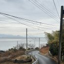 원도1구마을회관 앞 | 거제 매미성맛집 살아있는전복파스타 추천