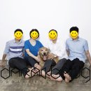 스튜디오버디 이미지