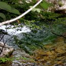 노고단-6 이미지