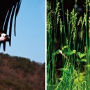 DMZ생태관광지원센터 교육장 이미지