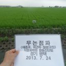 황금직파기 이미지