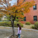 울산대학교 경영대학원 | 울산대학교 과학영재교육원 시험준비 초4 합격 후기