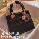 클래식의 정석 프로포즈 예물 가방 추천 레이디디올 블랙 램스킨 스몰 후기
