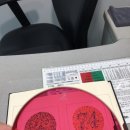 글라스스토리(송파점) 네이버블로그