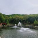 커피나무숲 | 수도권 근교 가볼만한 명소, 용인 자작나무 숲 다녀온 후기