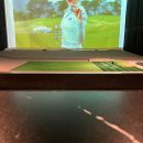 톡스크린골프 이미지