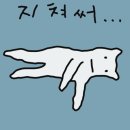 종로떡방아간 - 강서구 방화동로16길 36 | 종로떡방아간