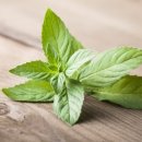 하랑한의원 이미지