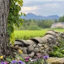 중장하녹 이미지