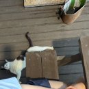 충주 별빛호수펜션 | [충주추천펜션|호수뷰맛집]호수를 바라보며 무한 힐링할 수 있는 충주펜션 <충주성산펜션> 후기