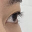 러블리 | NC백화점 강서구 발산역 지속력 좋은 속눈썹펌 추천 러블리아이래쉬 후기