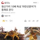 앞으로 해수욕장 가서 수영 하지마라 이미지