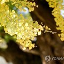 시월의오후