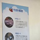 [영종도 무의도맛집]무의랑물회랑 후기!!