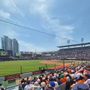 229-2-000026 | 수원KT위즈파크 229구역 11열 시야 후기⚾ 2시경기 각오하세요…