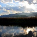 삭개오와뽕나무 | (이만식 교수의 조각시 산책 10) 호수와 하늘 / 이하 ㅡ 설악투데이