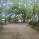 내서 삼풍대공원 이미지