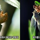 모두의곤충 이미지