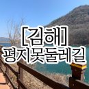 평지못(1) 이미지