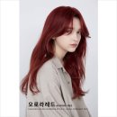 윤서희헤어 이미지