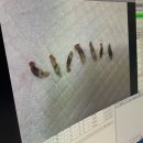 문산 동물병원 이미지