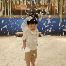 행복나무유치원-1구간 | 전주 아이랑 가볼만한 체험 모래놀이 가루나무모래흙 솔직후기