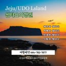 제주소통투데이 이미지
