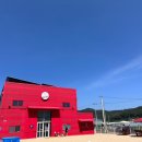 웨이브독 이미지