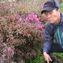 정섭농장 이미지