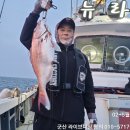 터미날낚시 이미지