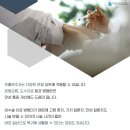 송파굿정형외과의원 이미지