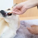 다온이상점 이미지