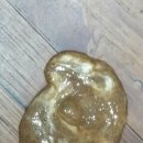 초콜릿종합동물병원 이미지